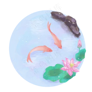 夏季主题池塘荷花红鱼