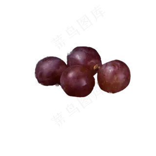 美味葡萄免扣下载