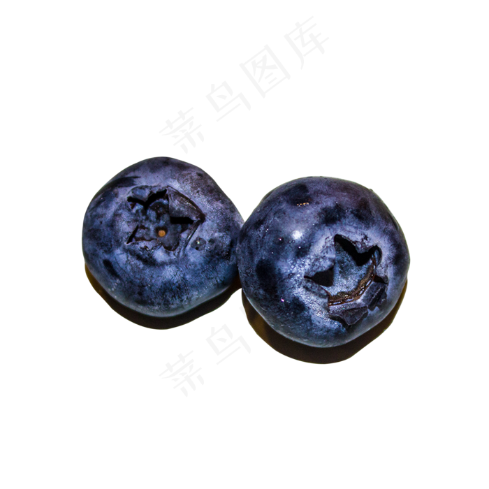 新鲜蓝莓(3000X3000(DPI:762))