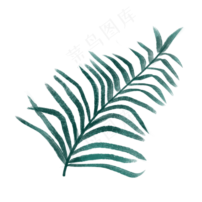 森系细叶PNG免抠素材