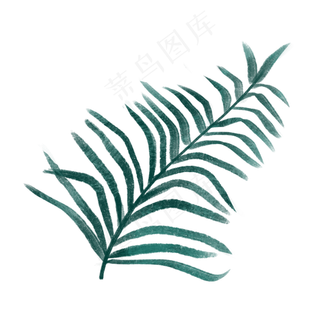 森系细叶PNG免抠素材