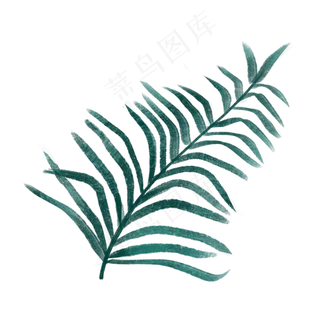 森系细叶PNG免抠素材