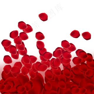 红色浪漫梦幻玫瑰花瓣高清特写