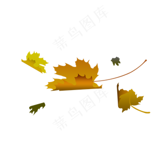 飘落下的黄绿色的桐树叶