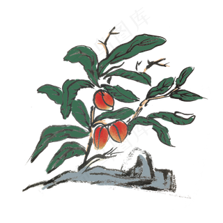 夏天水墨风水果李子手绘