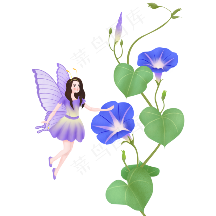 秋分秋天牵牛花与女孩