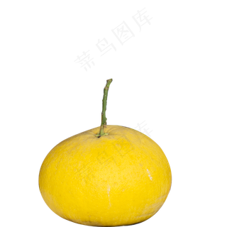 黄色的柚子免抠图