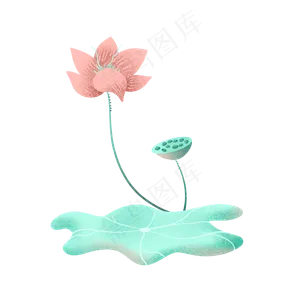 莲蓬荷叶荷花