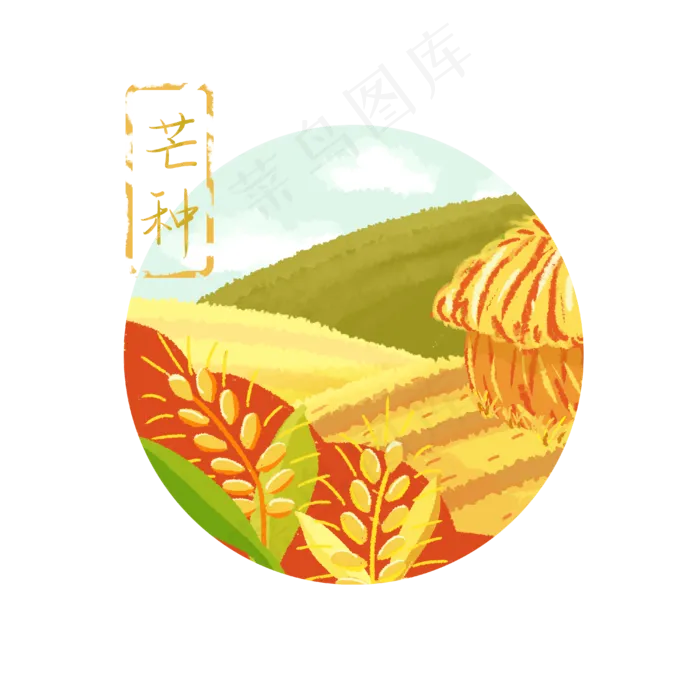 芒种节气稻田小麦(4000X4000(DPI:300))psd模版下载