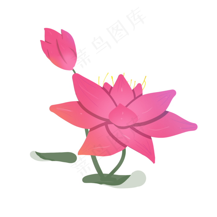 立体荷花手绘插画