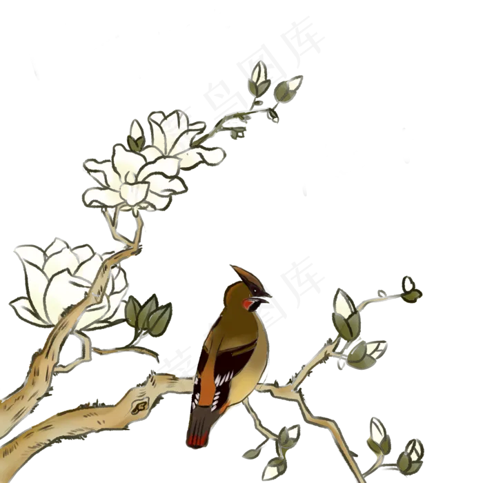 中国风古典手绘花鸟矢量图,免抠元素(2000X2000(DPI:299))psd模版下载