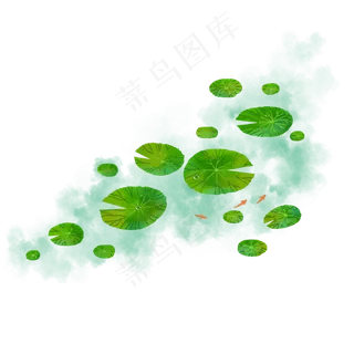 浮萍手绘浮萍荷叶