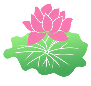 盛开花瓣荷花设计