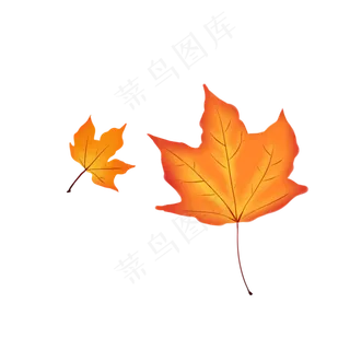 红枫叶落叶,免抠元素