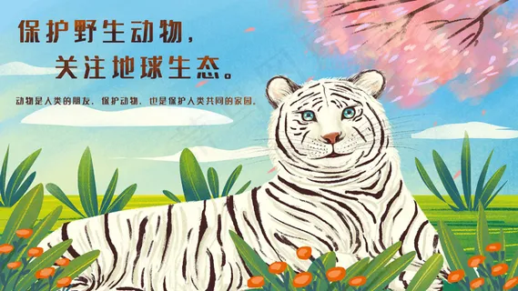 保护动物之白虎风景
