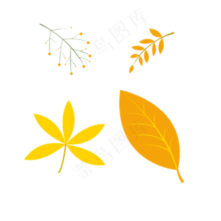 24节气之立秋植物