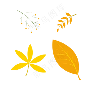 24节气之立秋植物