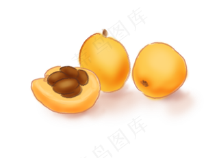 中国风手绘枇杷果