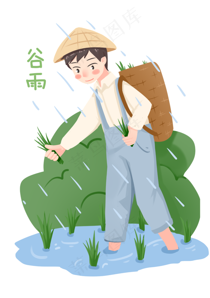 谷雨插秧的小男孩