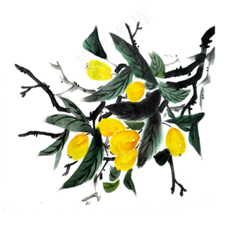 枇杷黄金水果国画水墨PNG
