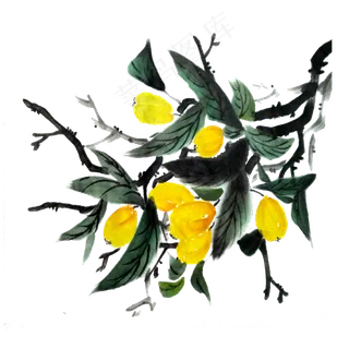 枇杷黄金水果国画水墨PNG