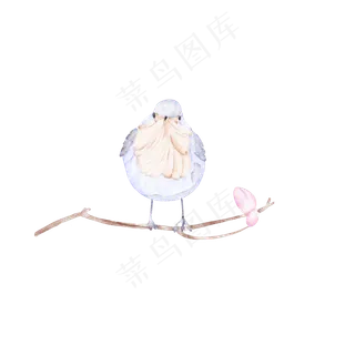 手绘水彩站在枝头的喜鹊,免抠元素