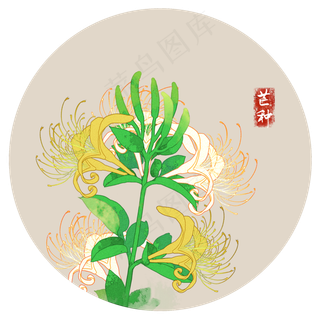 芒种金银花水墨二十四节气夏季花
