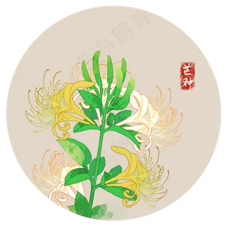 芒种金银花水墨二十四节气夏季花