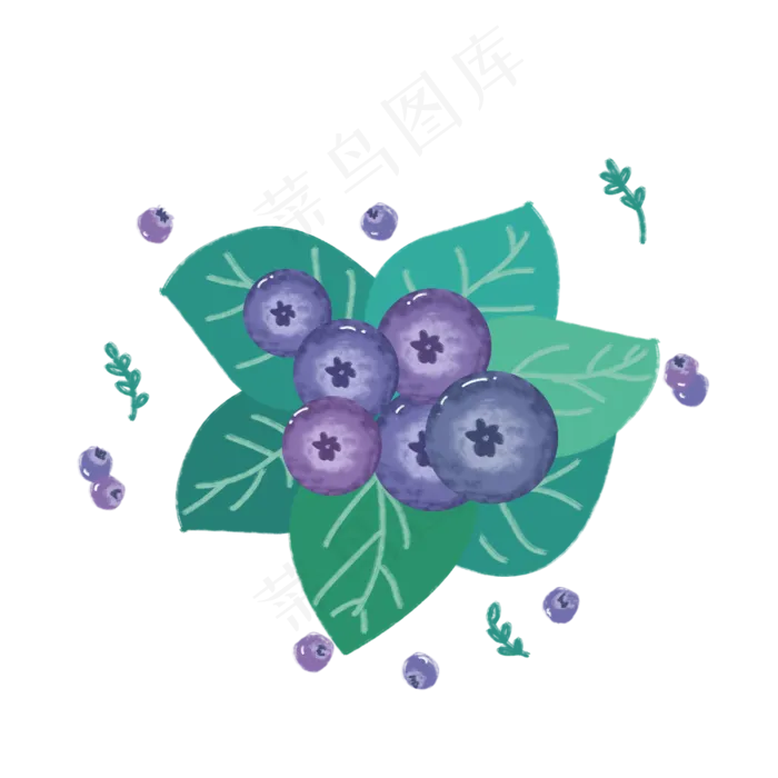 叶子蓝莓(4000X4000(DPI:300))psd模版下载