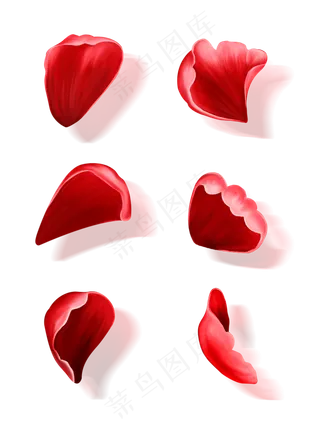 手绘花玫瑰花瓣免抠套图元素