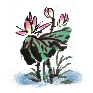 荷花手绘装饰图案