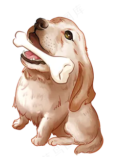 动物金毛狗狗宠物骨头可爱免抠图