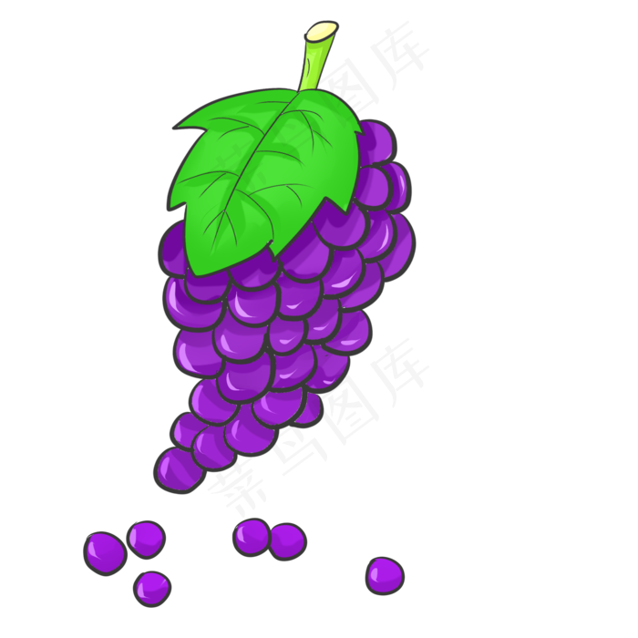 紫色水果葡萄插画