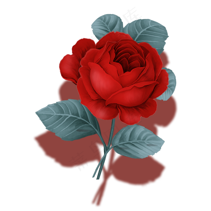 一只红玫瑰