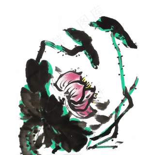 荷花荷叶水墨手绘