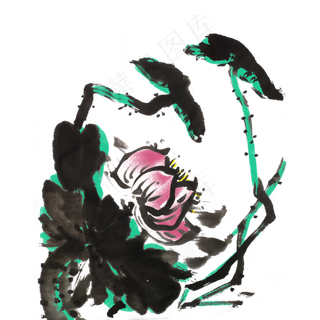 荷花荷叶水墨手绘