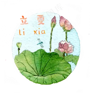 立夏二十四节气农历荷花荷叶