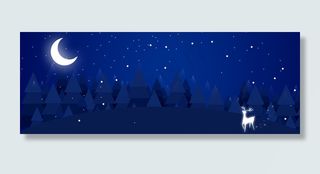 夏夜森林里的白鹿