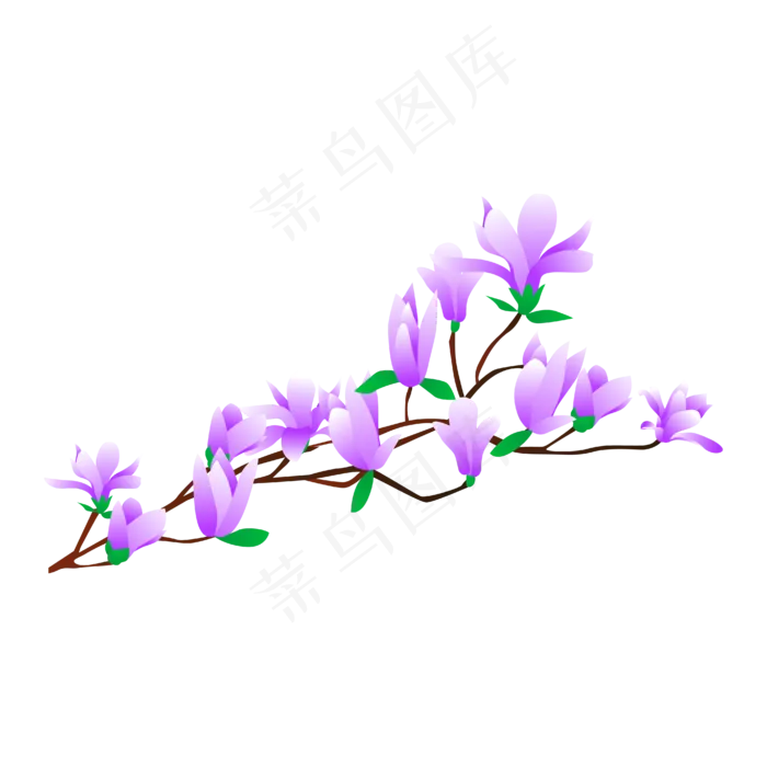 矢量免扣卡通玉兰花,免抠元素(4167*4167px 300 dpi )ai矢量模版下载