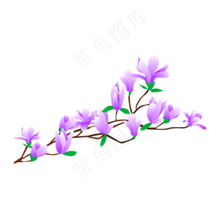 矢量免扣卡通玉兰花,免抠元素