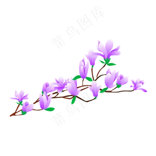 矢量免扣卡通玉兰花,免抠元素