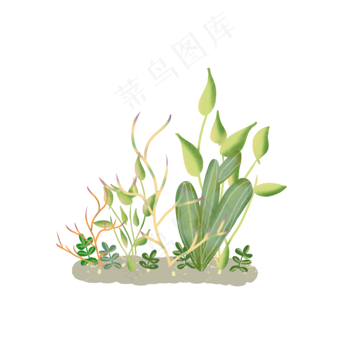 清新花朵草丛
