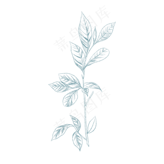 蓝色茶叶纹理图案