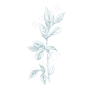 蓝色茶叶纹理图案