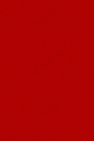 红色纹理简约招聘PSD分层H5