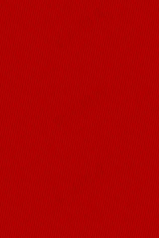 红色纹理简约招聘PSD分层H5