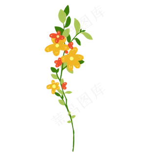 花朵花藤藤蔓插图