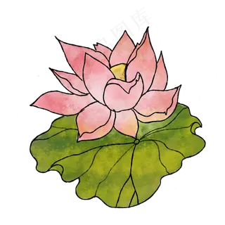 夏季荷花卡通手绘