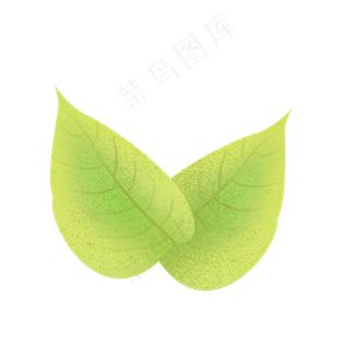 春季两片黄绿嫩叶