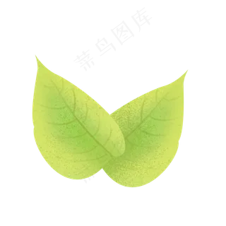 春季两片黄绿嫩叶